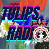 Tulips Radio