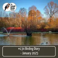 Birding diary - January 2025