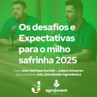 Safra de Soja 2025: Desafios, Rentabilidade e o Futuro do Milho Safrinha! 🌱🚜