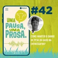 EP 42 | Como manter o ganho de peso do gado na entressafra?