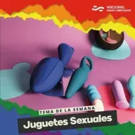 81- Juguetes sexuales