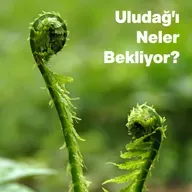 Uludağ'ı Neler Bekliyor?