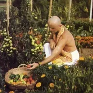 Eco-Aldeas de ISKCON