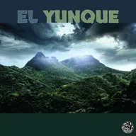 Episode 25: El Yunque