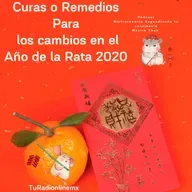 Curas o Remedios Año de la rata 2020