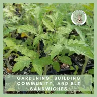 112. Gardening, Building Community, and BLT Sandwiches