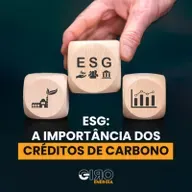 ESG: a importância dos créditos de carbono