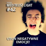 PODCAST MEDITEUSZ LIGHT #42 / JAK USUNĄĆ NEGATYWNE EMOCJE / FROM BRAIN TO PAPER / PANUJ NAD EMOCJAMI