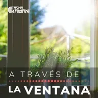 A través de la ventana