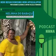 NNNA #168-Parte 1/2-Entrevista com Nelinha do Babaçu, sócia e idealizadora do Projeto Babaçu, por Gesner Oliveira e Artur Villela Ferreira