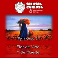 Ep. 70 - Flor de Vida y de Muerte