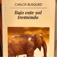 Bajo este sol tremendo - Carlos Busqued