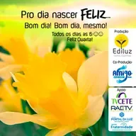 Pro dia nascer Feliz... Bom dia! Bom dia, mesmo! #327