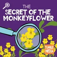 The Secret of the Monkeyflower