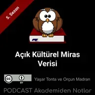 Akademiden Notlar 137: Açık Kültürel Miras Verisi