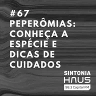 Peperômias: fáceis de cuidar e ideais para ambientes internos | SINTONIA HAUS #67