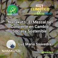 Nanakutzi: El Mezcal se Convierte en Cambio Social y Sostenible