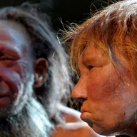 Por qué los neandertales nos ganarían en los Juegos Olímpicos