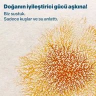 Doğanın İyileştirici Gücü Aşkına!
