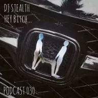 DJ Stealth - HEY bitch (Podcast 030)