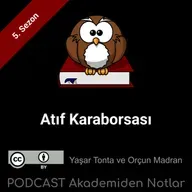 Akademiden Notlar 134: Atıf Karaborsası