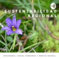 CONTAMINACION PLASTICA