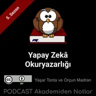 Akademiden Notlar 136: Yapay Zekâ Okuryazarlığı