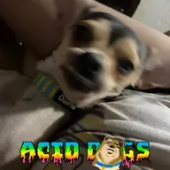 Acid Dogs 007