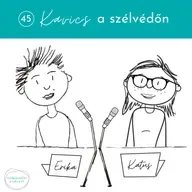 45_Kavics a szélvédőn