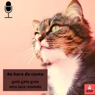 #63 | a hora do conto | gato gato gato | otto lara resende