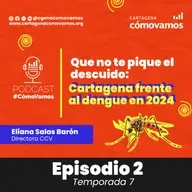 Que no te pique el descuido: Cartagena frente al dengue en 2024