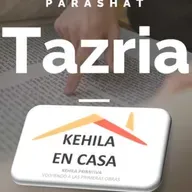 Parasha #27 Tazria, תזריע Ella concibe Lv 12:1 - 13:59