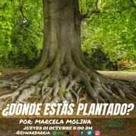 Despertando en su Presencia | ¿Dónde Estás Plantado? | Marcela Molina