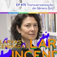 Transversalização de gênero [bii]