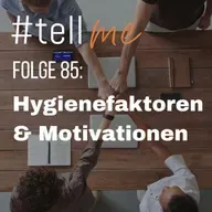 85_Hygienefaktoren und Motivatoren