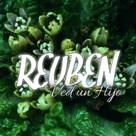 E25-RUBÉN