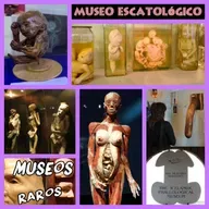 Museos Extravagantes e Insólitos