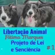 Projeto-de-Lei-e-Senciência