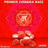 PROGRAMA ESPECIAL CHAKRA RAIZ 