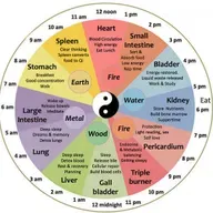 Conosci davvero chi sei? La ruota di medicina dei 5 elementi dentro di te. 