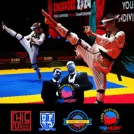 Taekwondo Virtual