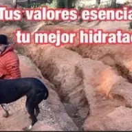 SUGERENCIAS (64)   Para dormir bien, acércate a lo que realmente valoras