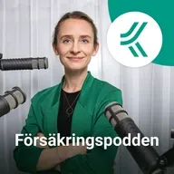 42. Ger kortförsäkringen ett tillräckligt skydd på din resa?