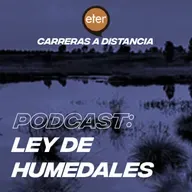 Ley de humedales: ¿Qué son? ¿Por qué es necesaria una ley que los proteja?
