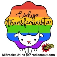 Marisa Herrera sobre transfeminismos y derecho.