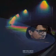 Did You See II