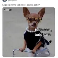 vida adulta: as dores & as delicias