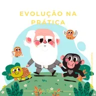 EVOLUÇÃO NA PRÁTICA