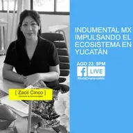 Indumental Mx impulsando el ecosistema de moda en Yucatán