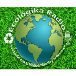 Website preview